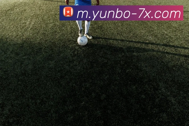 多彩内容专区
